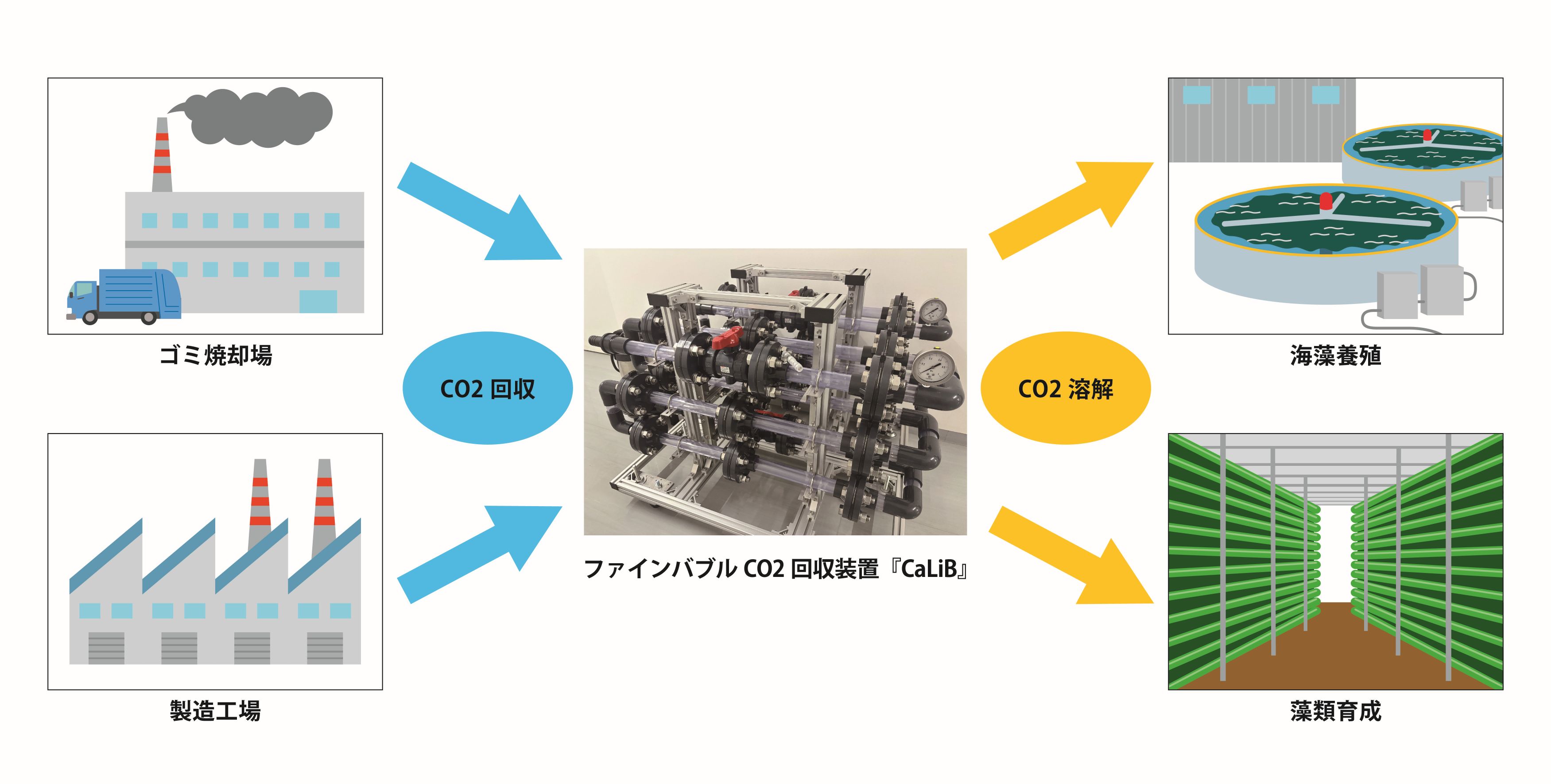 CCS・CCUS